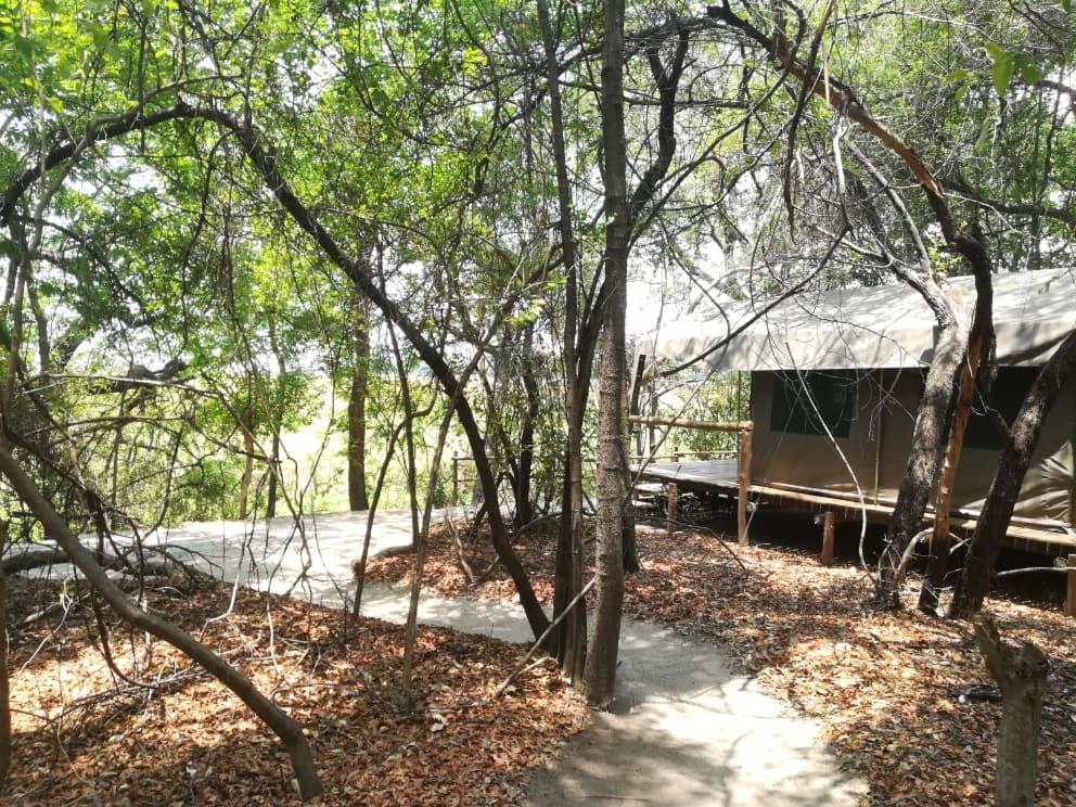 Askiesbos - Samochima Bush Camp Shakawe ภายนอก รูปภาพ