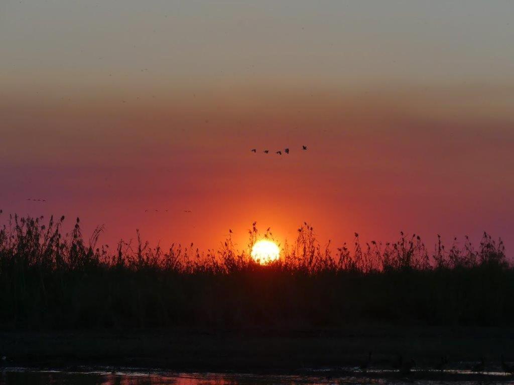 Askiesbos - Samochima Bush Camp Shakawe ภายนอก รูปภาพ