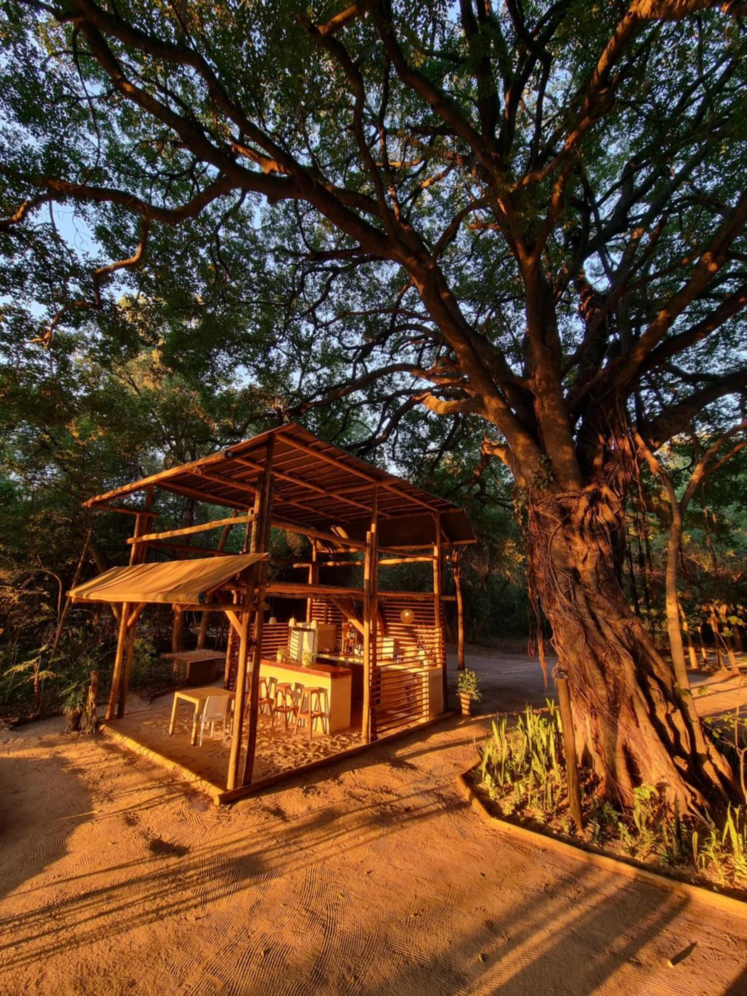 Askiesbos - Samochima Bush Camp Shakawe ภายนอก รูปภาพ