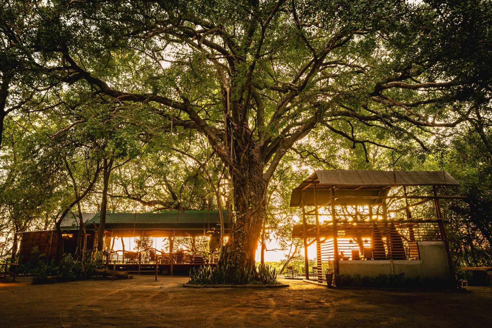 Askiesbos - Samochima Bush Camp Shakawe ภายนอก รูปภาพ